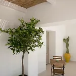 Πανσιόν I Colmi - Trulli