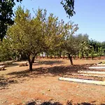 I Colmi - Trulli 马丁纳弗兰卡